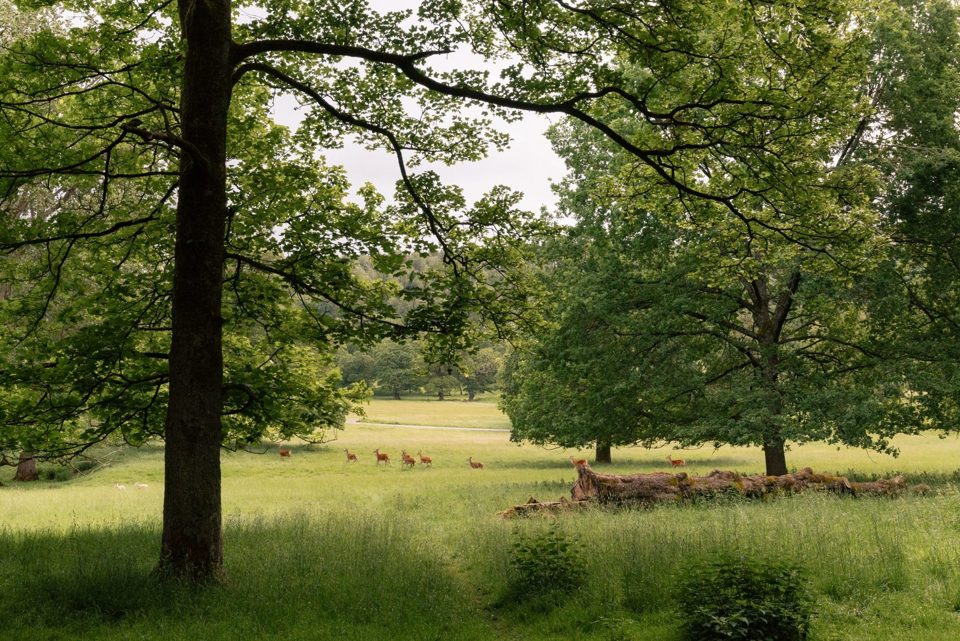 Chatsworth Caravan Park