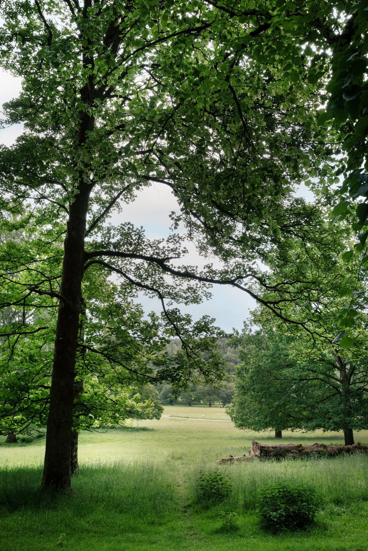 Chatsworth Caravan Park