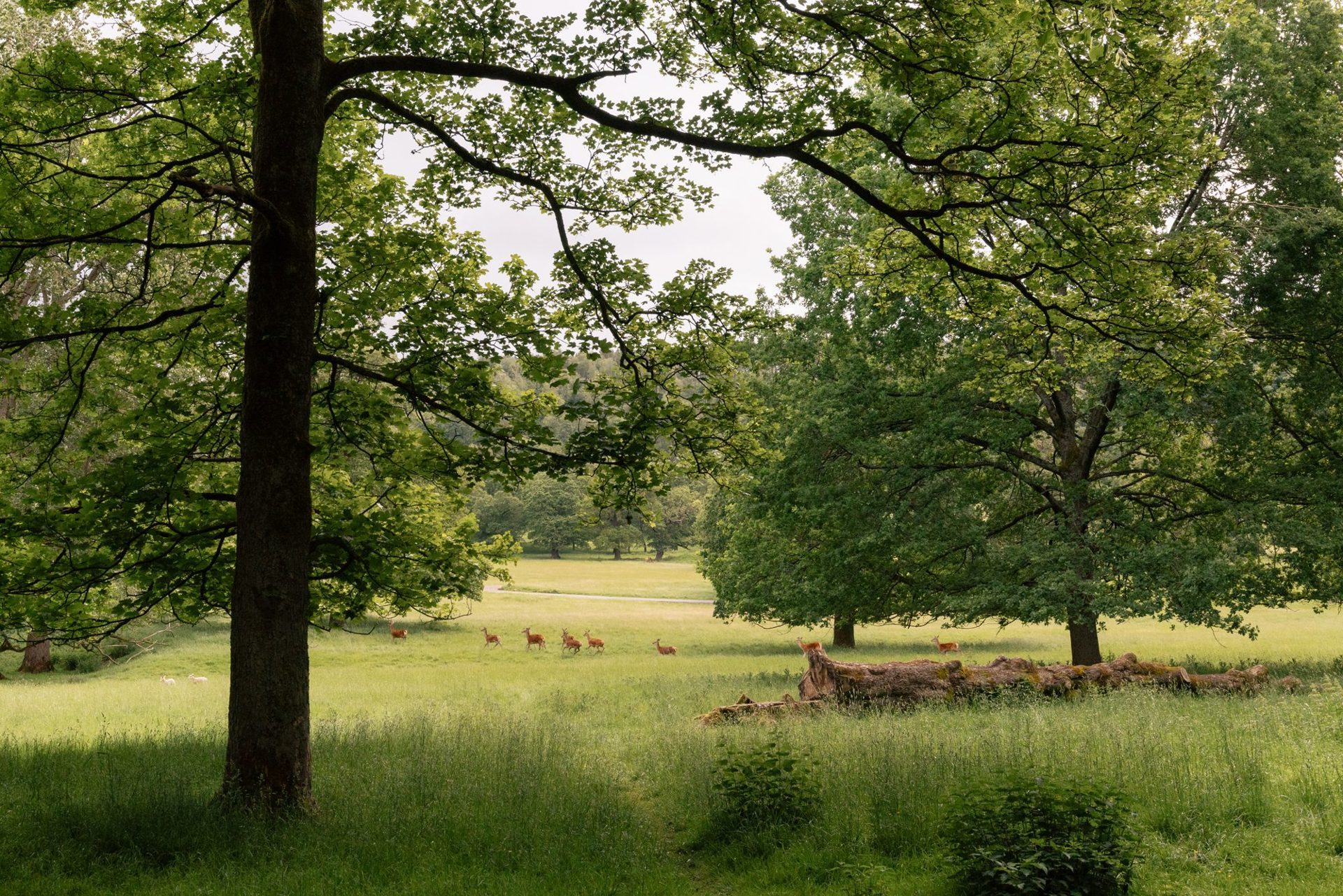 Chatsworth Caravan Park