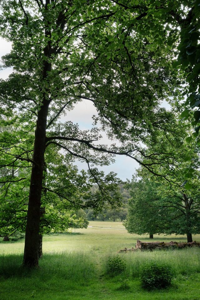 Chatsworth Caravan Park